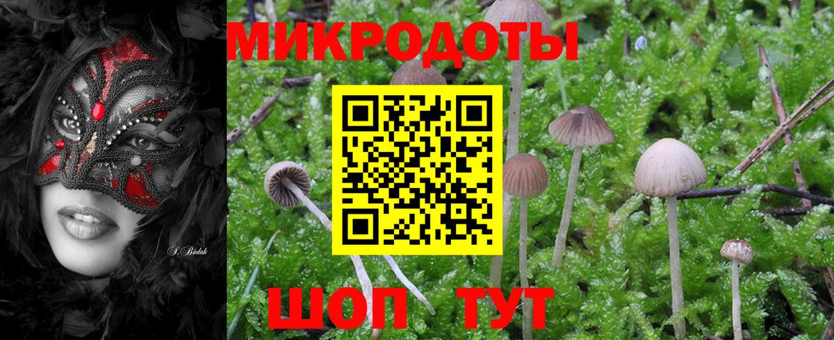 Галлюциногенные грибы мицелий Артёмовский